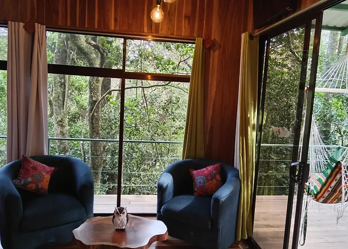 Jungle Living Tree Houses